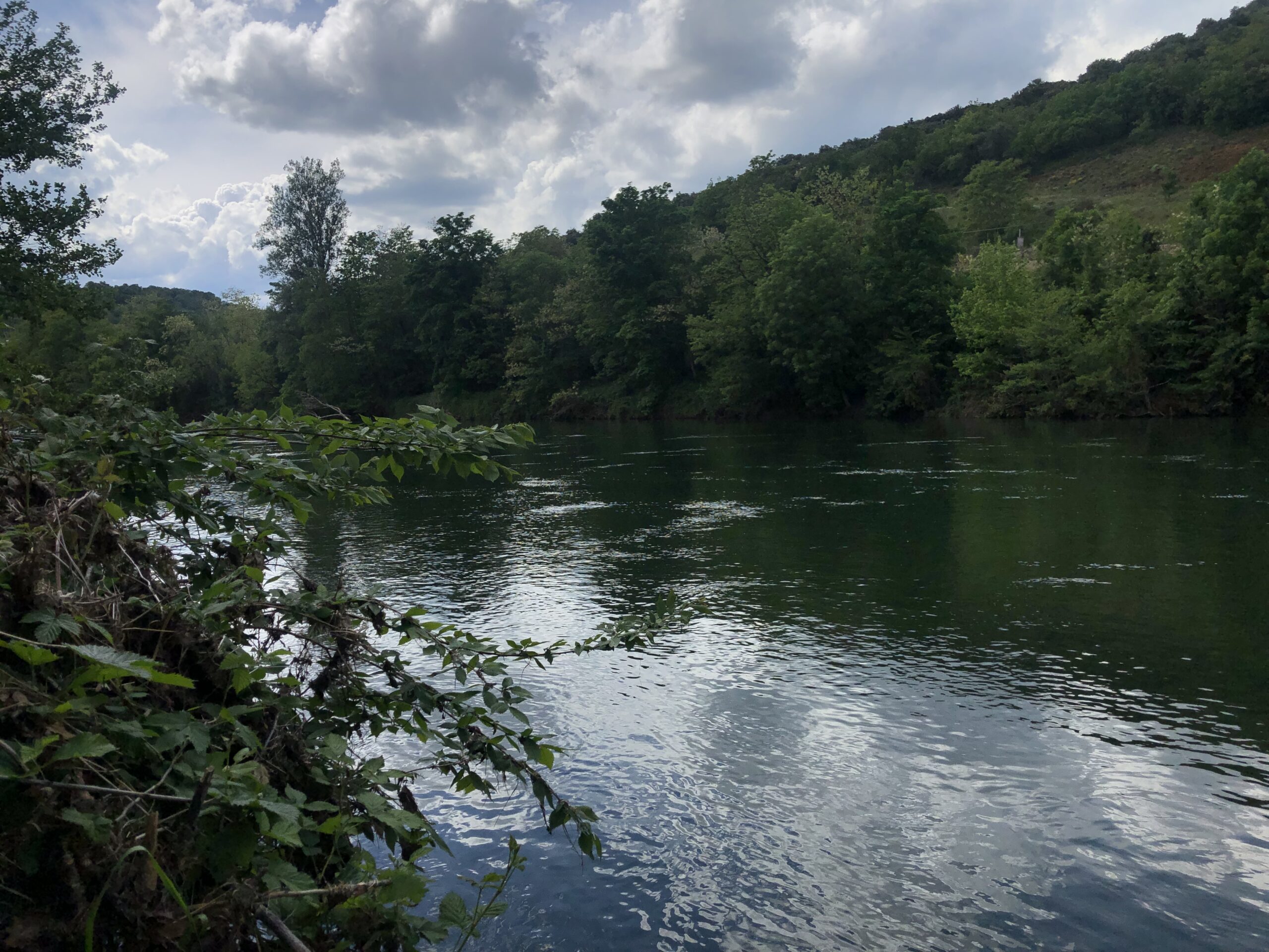 Guide pêche Aveyron - Sylvain Carrié